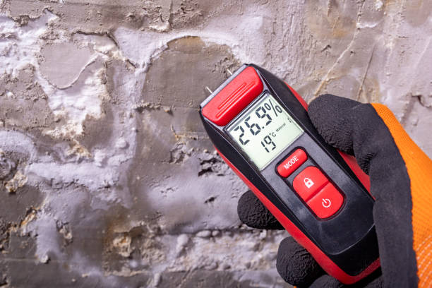 Best Mold Testing and Inspection Services in Creve Coeur, MO