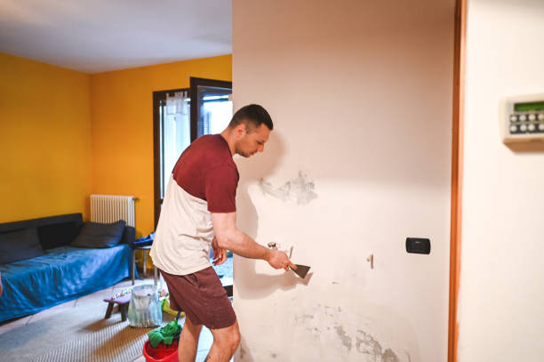 Best Bathroom Mold Remediation in Creve Coeur, MO